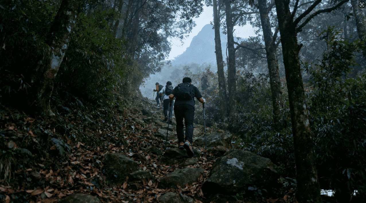 在知乎上关于风驰加速器免费政策的详细介绍